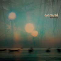 aerosol - airborne aerosol - airborne
